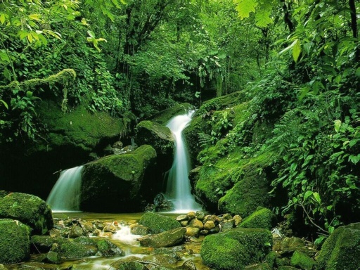 Énergie Retrouvée – la formation mitochondriale qui change (enfin) la donne